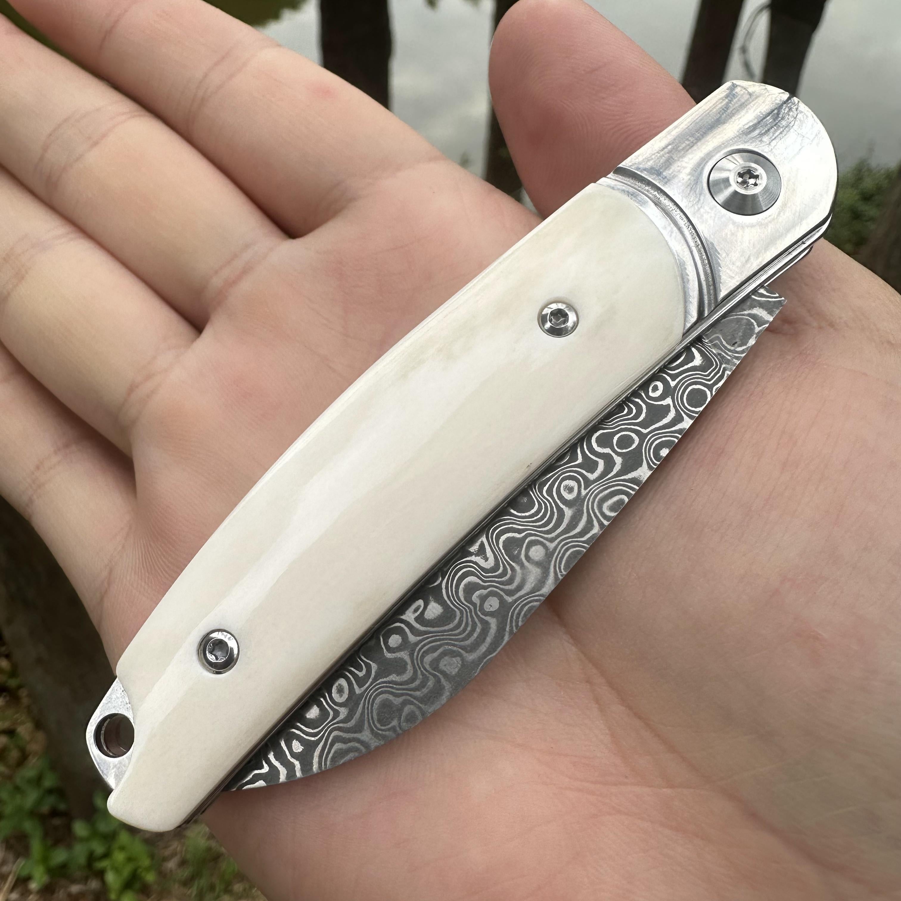 TF1042 Damascus VG10 Blade Beef Bone Handle Pocket Knife