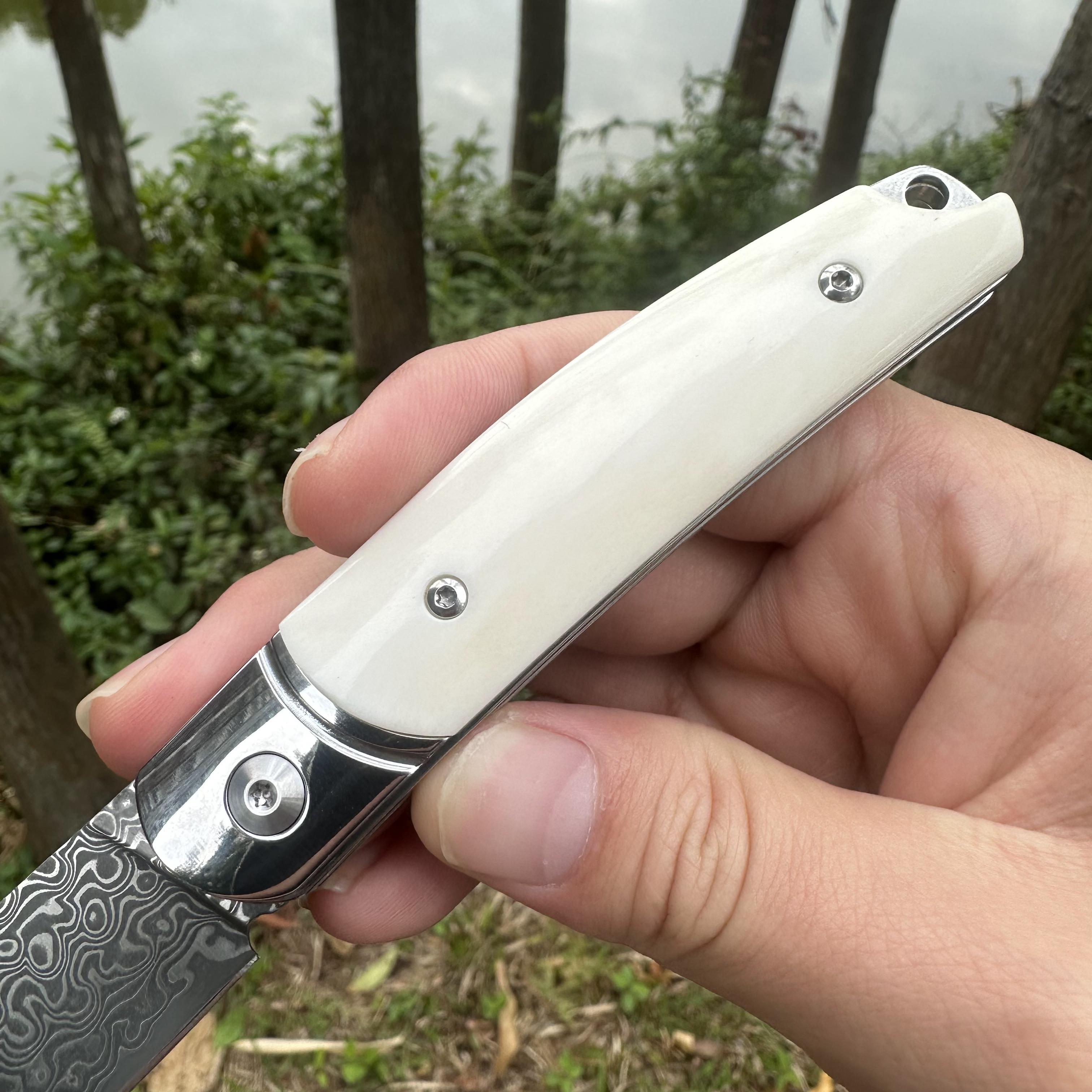 TF1042 Damascus VG10 Blade Beef Bone Handle Pocket Knife