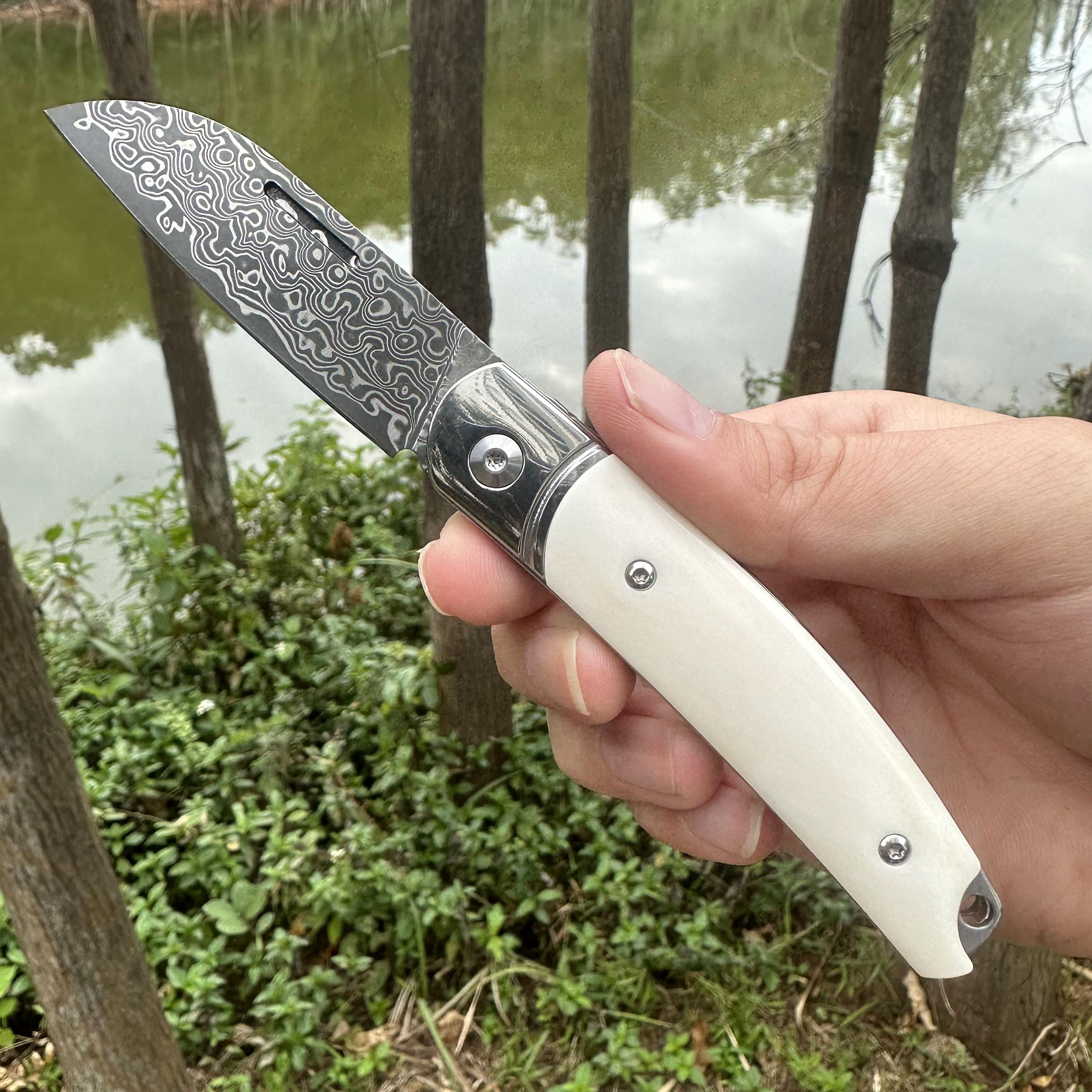 TF1042 Damascus VG10 Blade Beef Bone Handle Pocket Knife