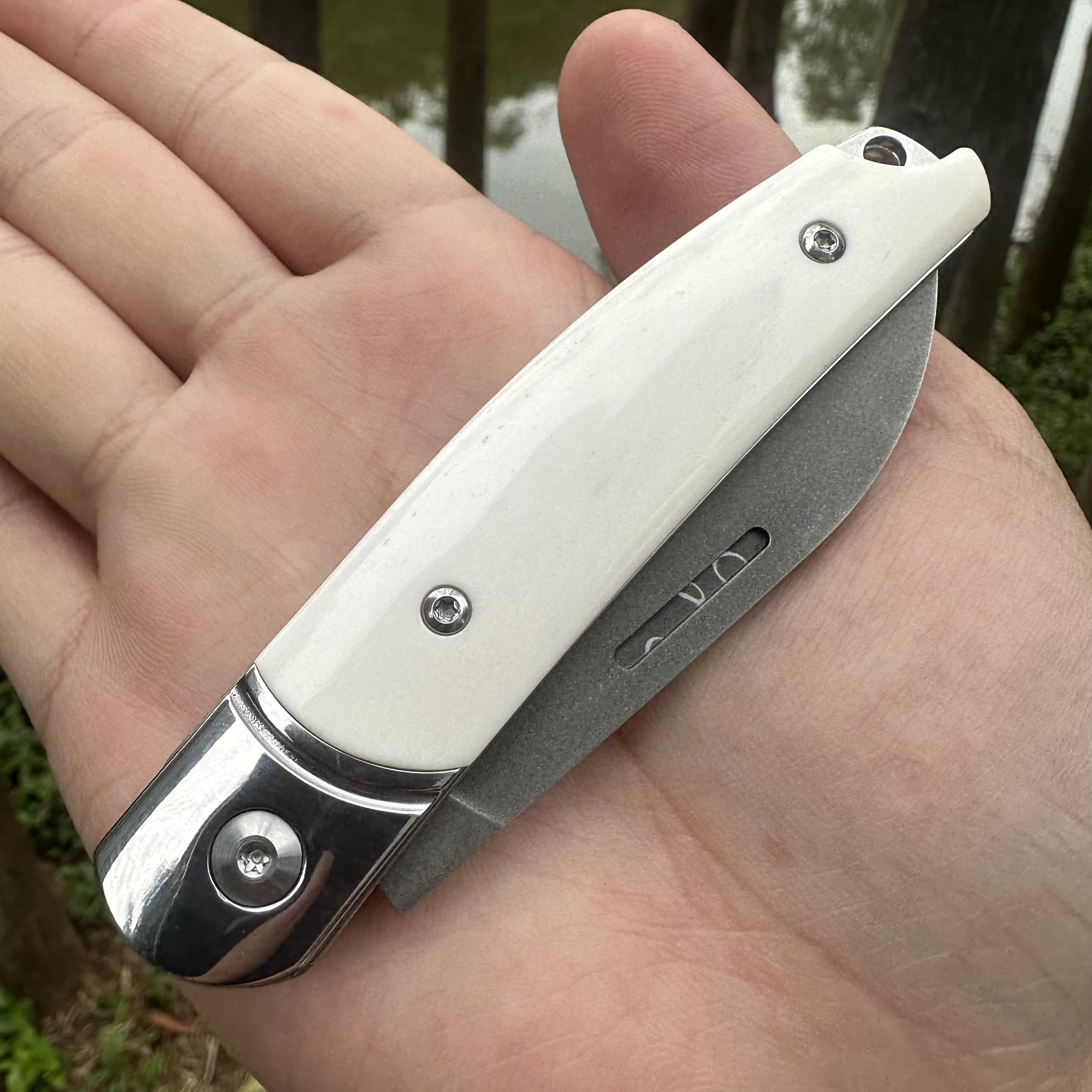 TF1043 Wootz Steel Blade Beef Bone Handle Pocket Knife