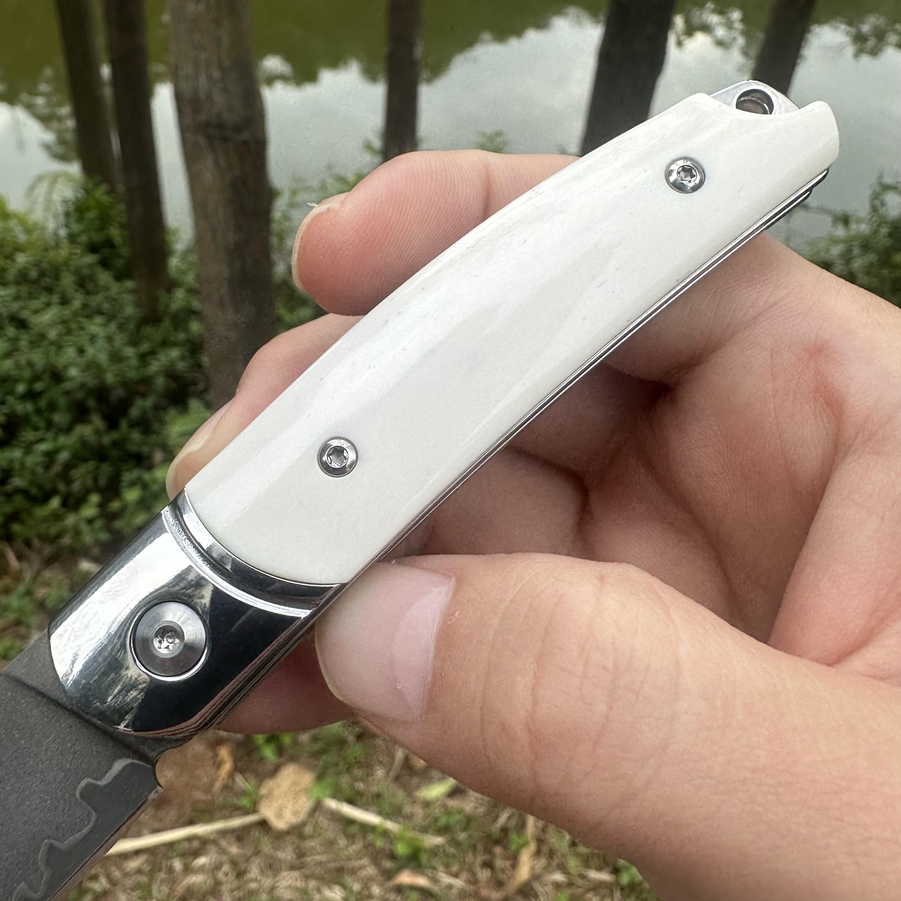 TF1043 Wootz Steel Blade Beef Bone Handle Pocket Knife