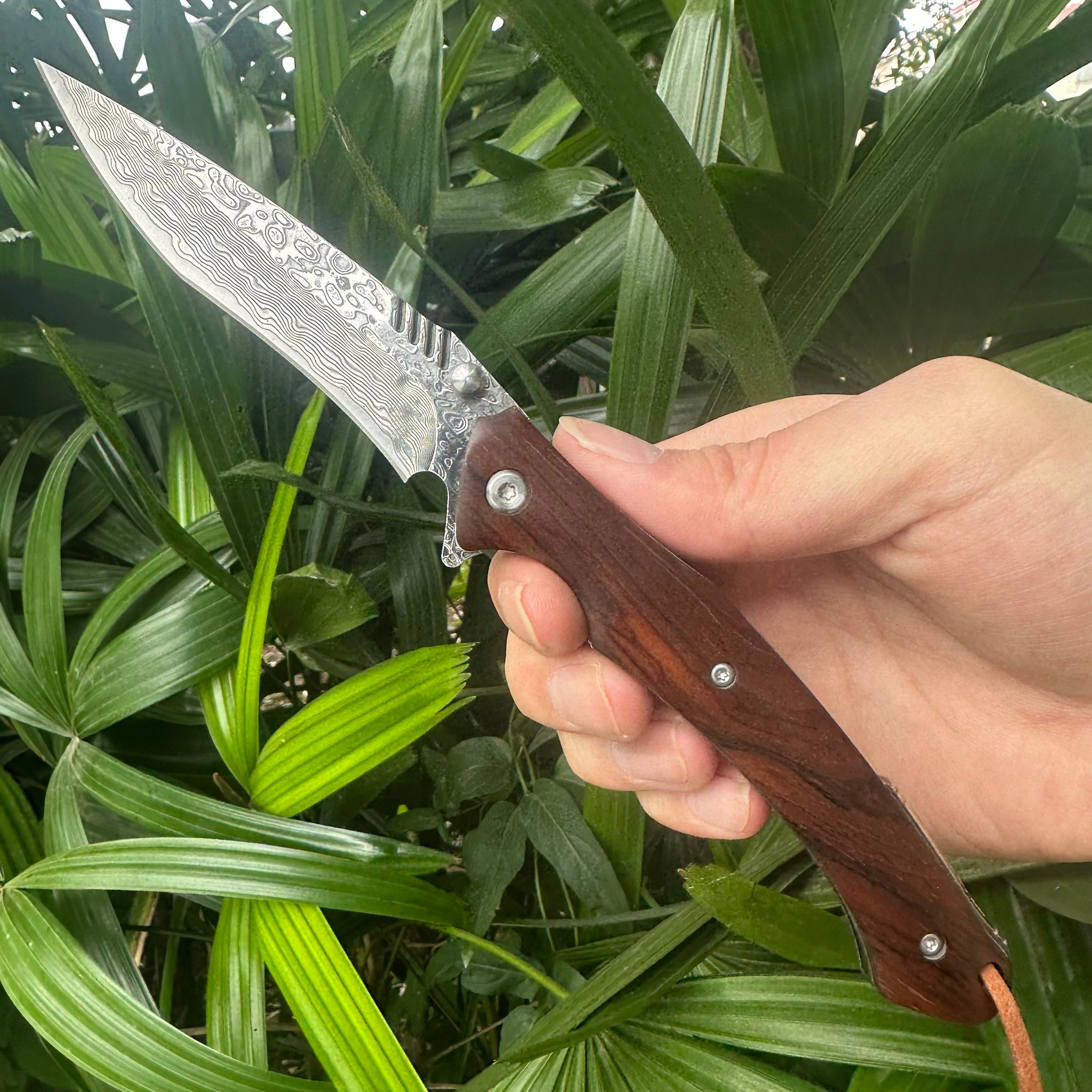 RJ19 Damascus Blade Cocobolo Handle Pocket Knife Liner Lock