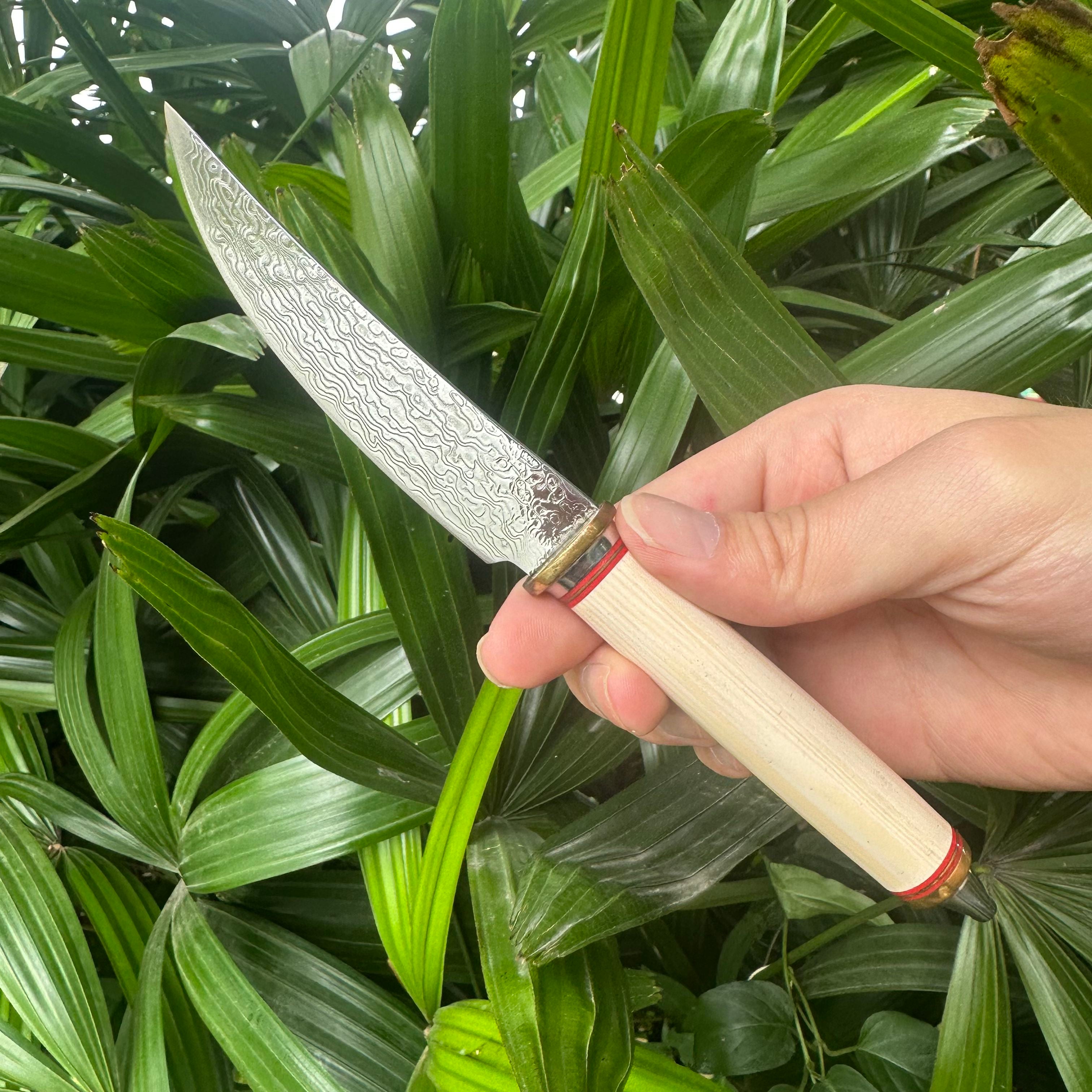 A038 Mini Fixed Damascus VG10 Blade Knife White Resin Handle Leather Sheath
